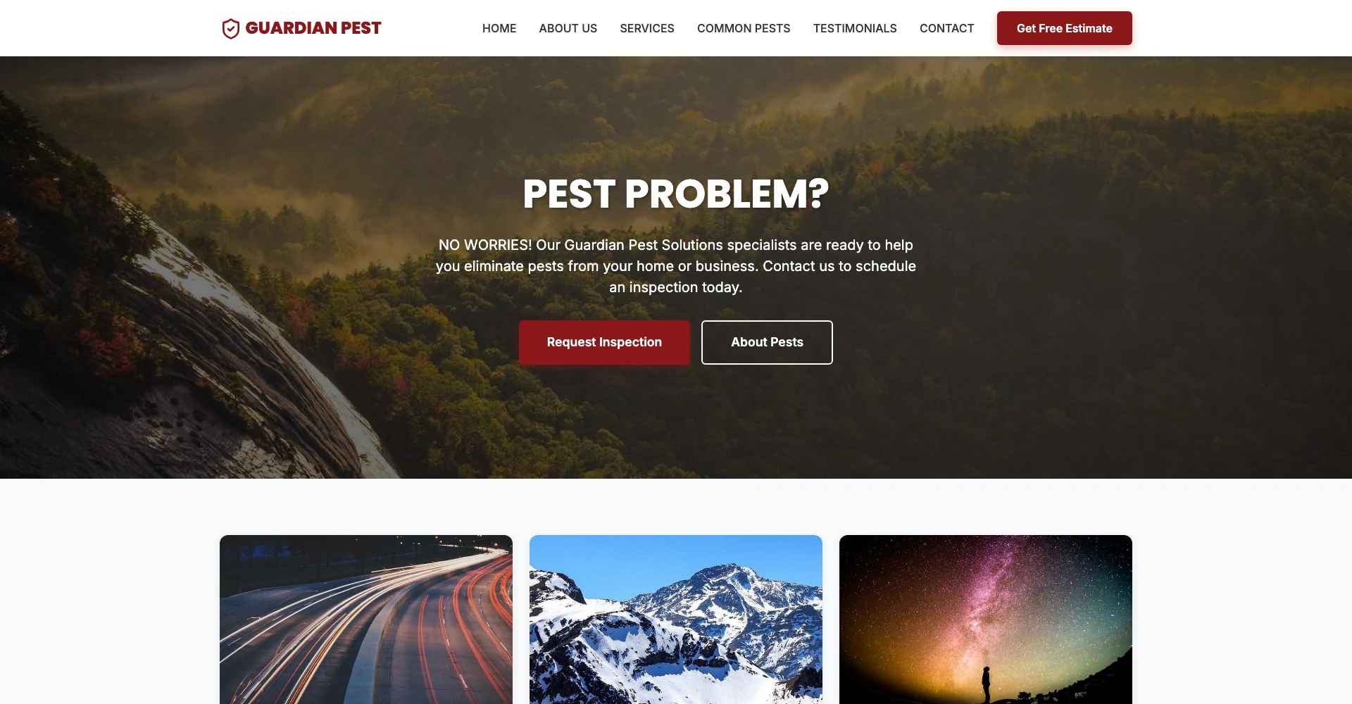 Pest Control Pro template